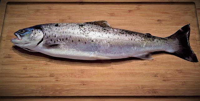 Os benefícios do consumo de peixe os-beneficios-do-consumo-de-peixe