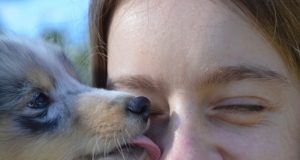 existem-riscos-de-criar-pets-dentro-de-casa