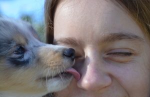existem-riscos-de-criar-pets-dentro-de-casa