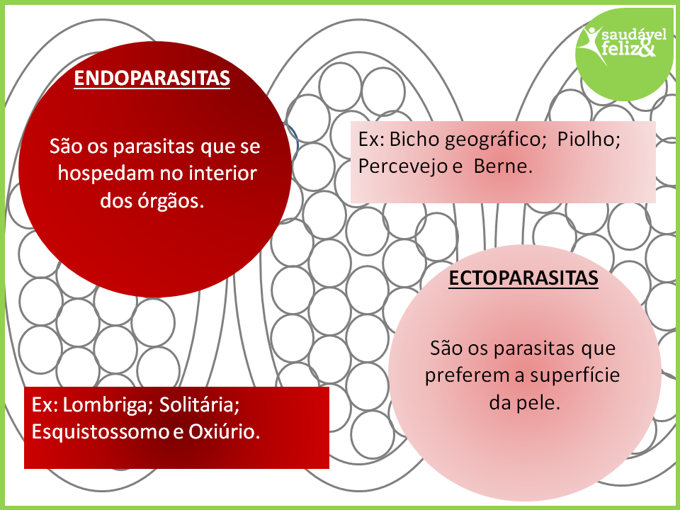 Parasitas no corpo humano parasitas-no-corpo-humano