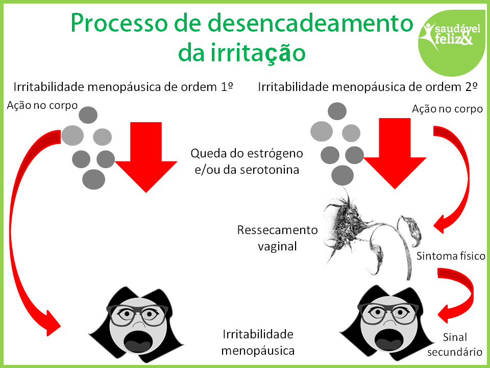 Irritabilidade na menopausa irritabilidade-na-menopausa