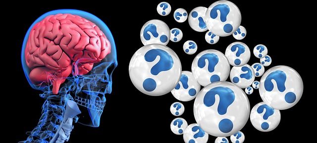 Cérebro na menopausa cerebro-na-menopausa