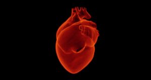 infarto-fulminante