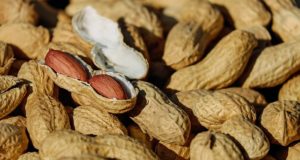 beneficios-do-amendoim