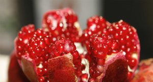 fruta-roma