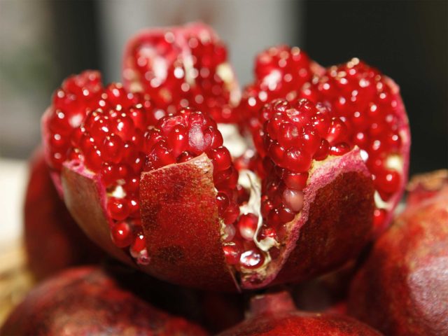 fruta-roma