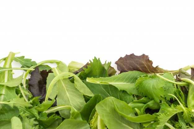 Folhas de rúcula salada-rucula