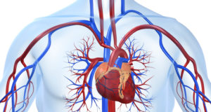 vasculite