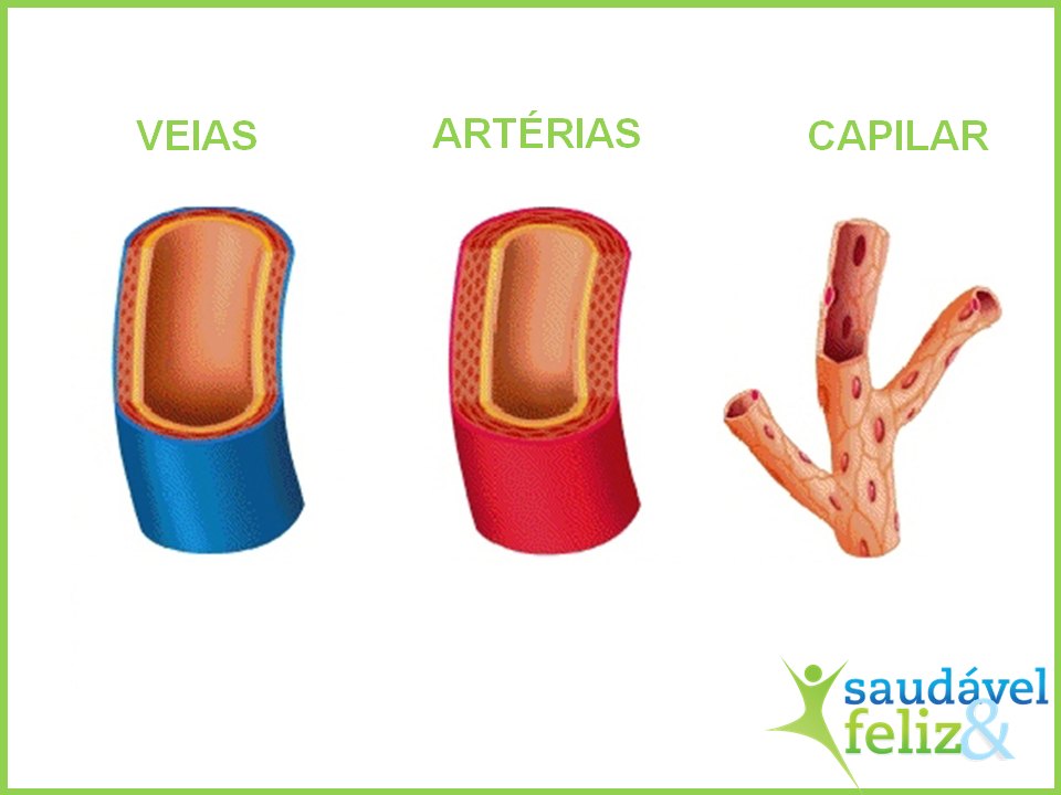 vasculite vasculite