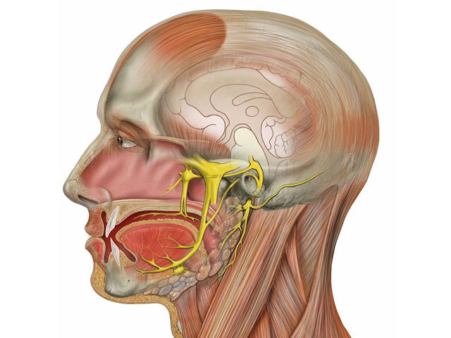 neuralgia geral