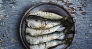 benefícios da sardinha
