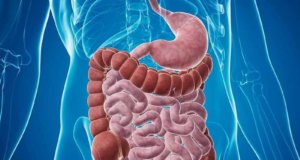 sindrome-do-intestino-irritavel